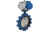 Butterfly Valves