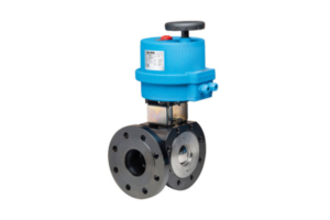 CS3 Way Wafer Valve