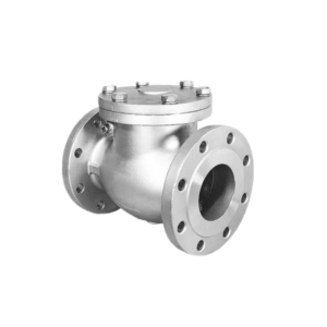 Globe Valve Flange