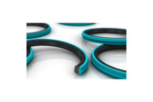 HYDRAULIC PISTON SEALS