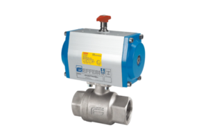 Vega with pneumatic actuator